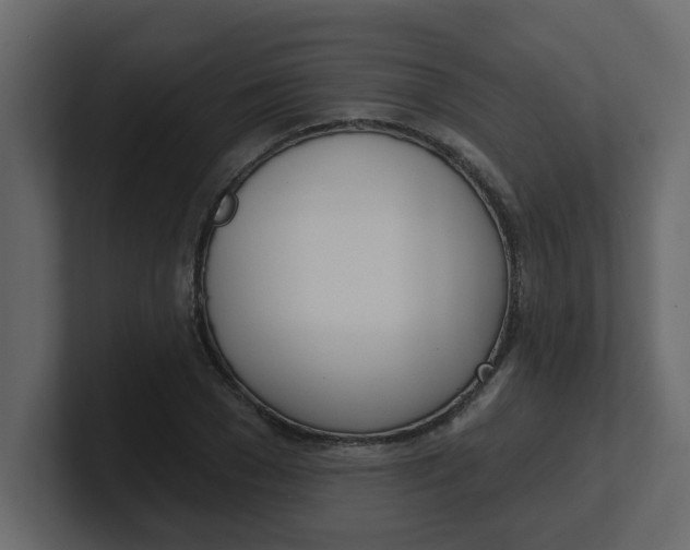 X0000100910977200807151135