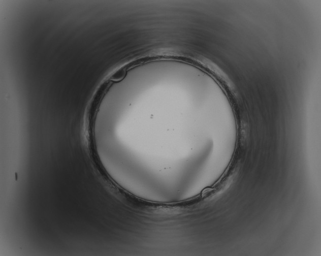 X0000100910981200807151135