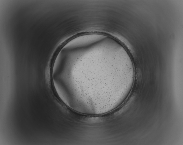 X0000100910982200807151135