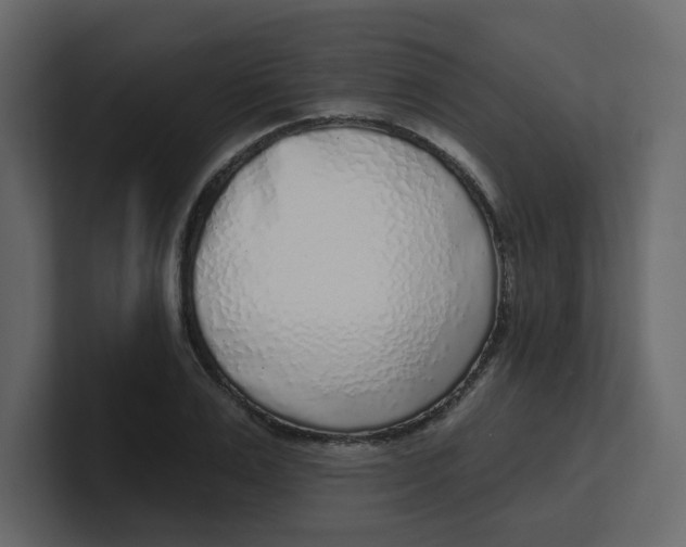 X0000100910983200807151135