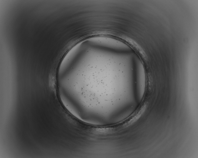 X0000100910985200807151135