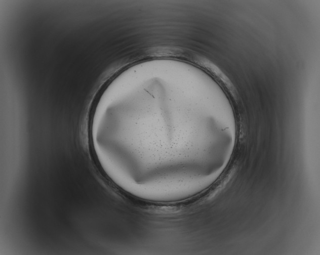 X0000100910986200807151135