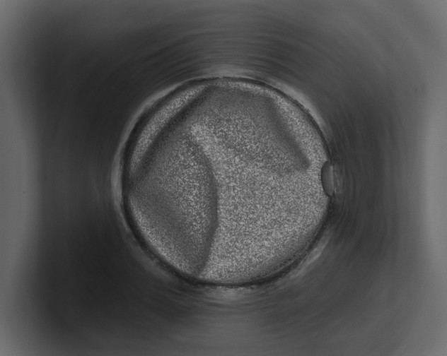 X0000100910987200807151135