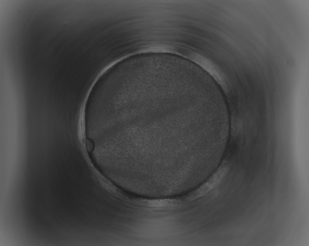 X0000100910988200807151135