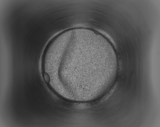 X0000100910991200807151135