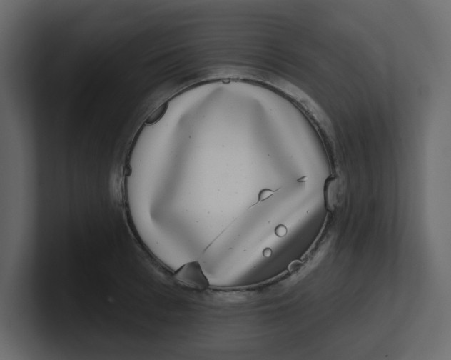 X0000100910993200807151135