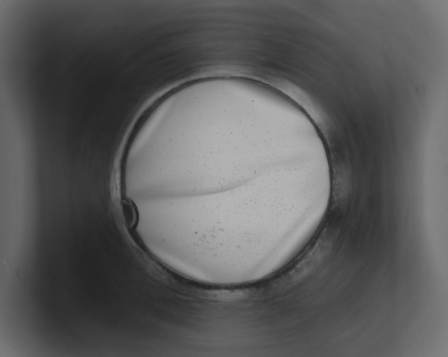 X0000100910996200807151135