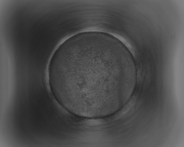 X0000100910998200807151134