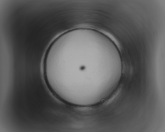 X0000100910999200807151134