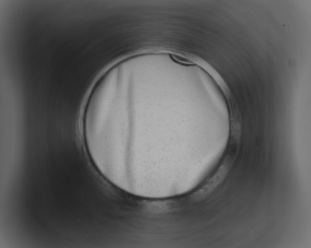 X0000100911004200807151134