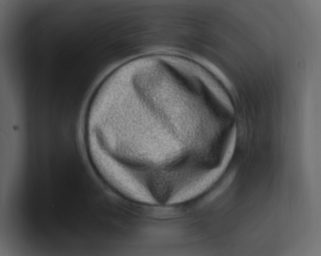 X0000100911007200807151134