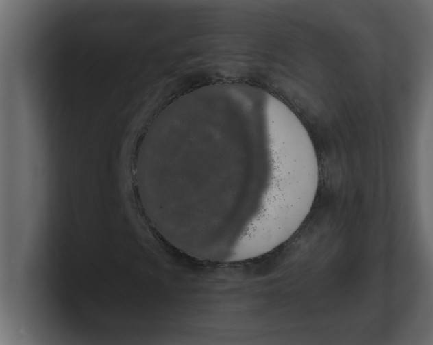 X0000100911009200807151134