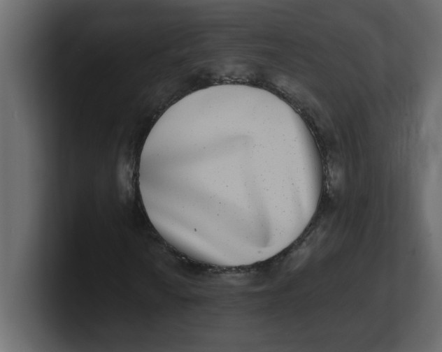 X0000100911010200807151134