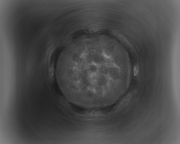 X0000100911011200807151134