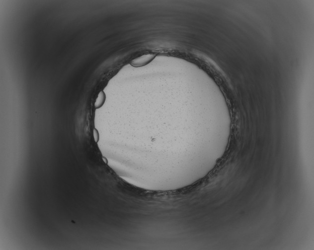 X0000100911016200807151134