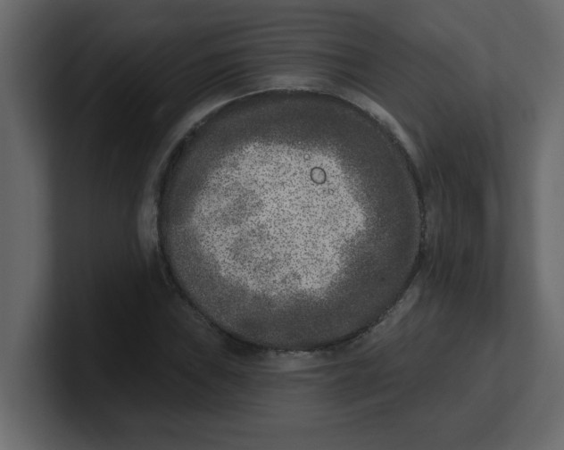 X0000100911019200807151134