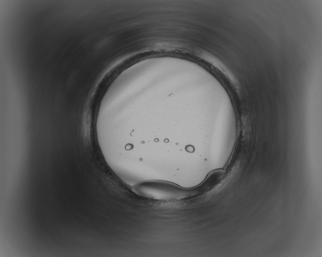 X0000100911021200807151134