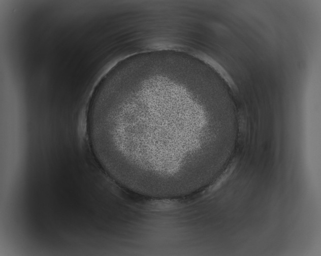 X0000100911023200807151134