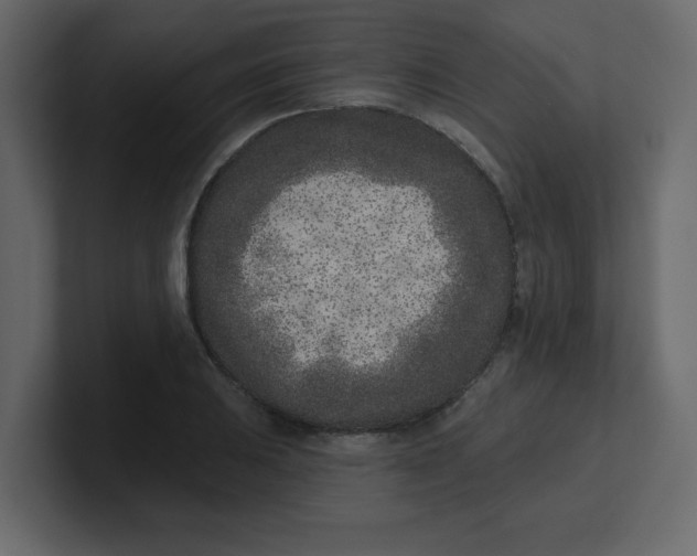 X0000100911031200807151134