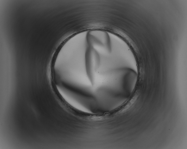 X0000100911034200807151134