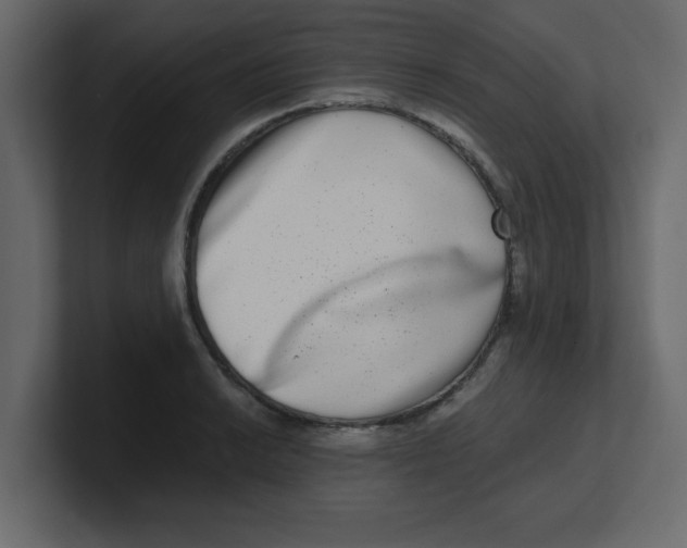 X0000100911038200807151134