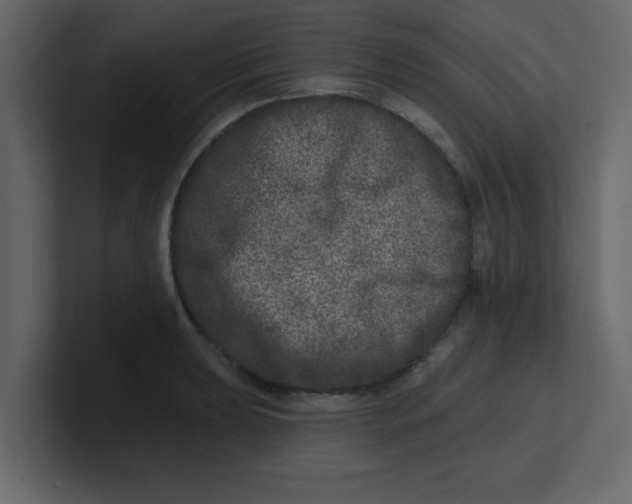 X0000100911039200807151134