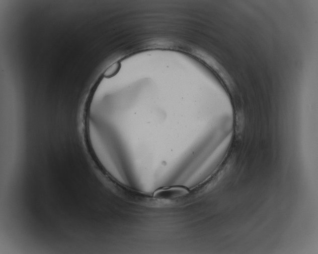 X0000100911042200807151134