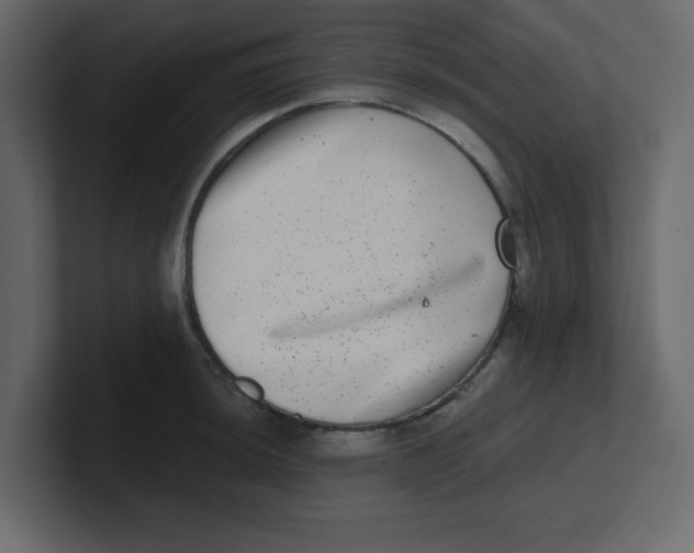 X0000100911044200807151134