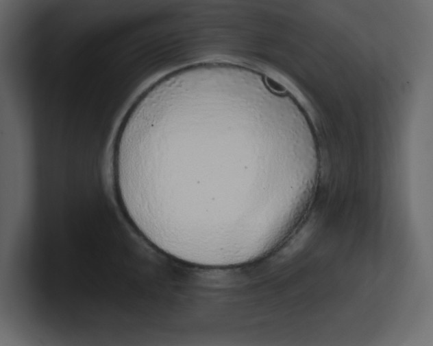 X0000100911048200807151134