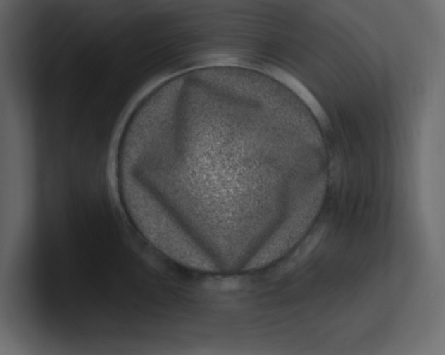 X0000100911051200807151134