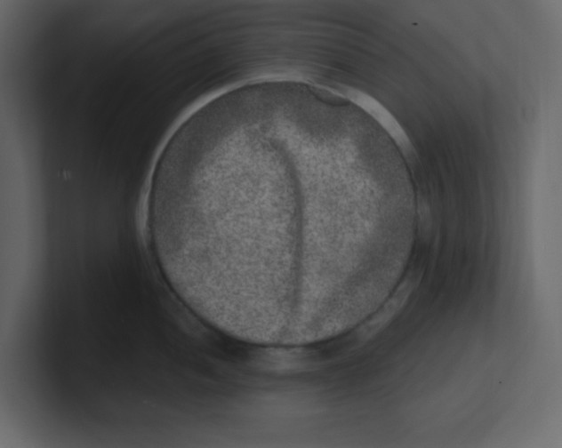 X0000100911052200807151134