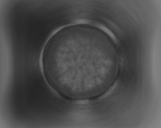 X0000100911055200807151134