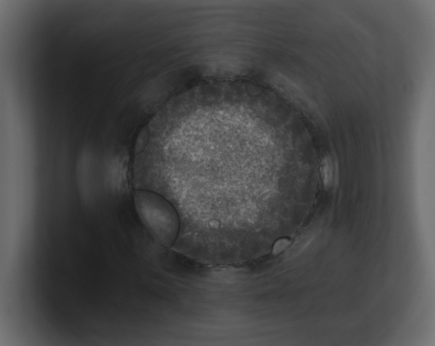 X0000100911059200807151134