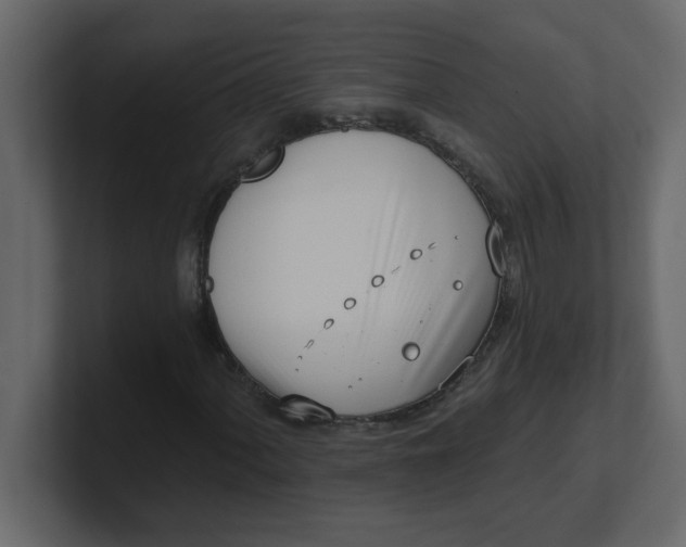 X0000100911060200807151134