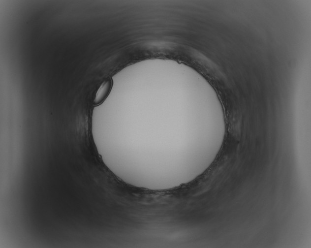 X0000100911061200807151134