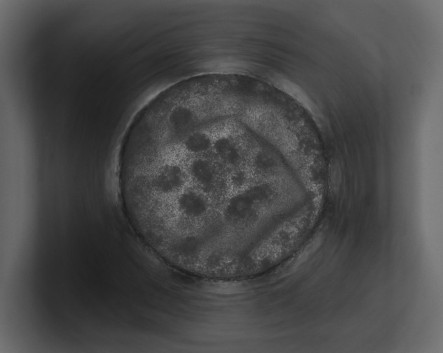 X0000100911071200807151134