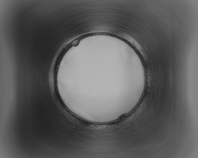 X0000100911072200807151134