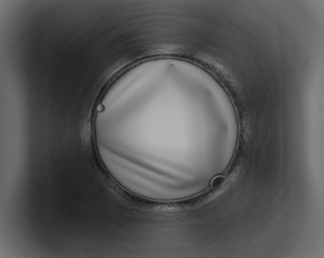 X0000100911073200807151133