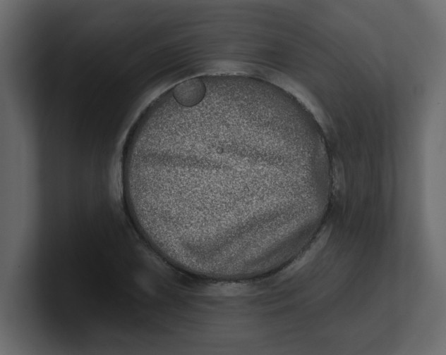 X0000100911075200807151133