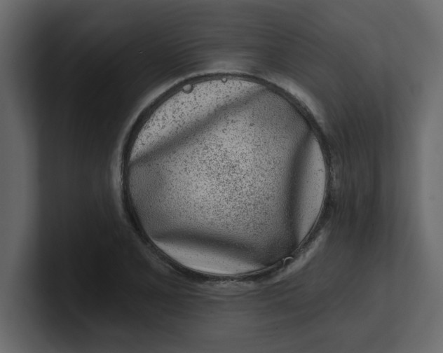 X0000100911077200807151133