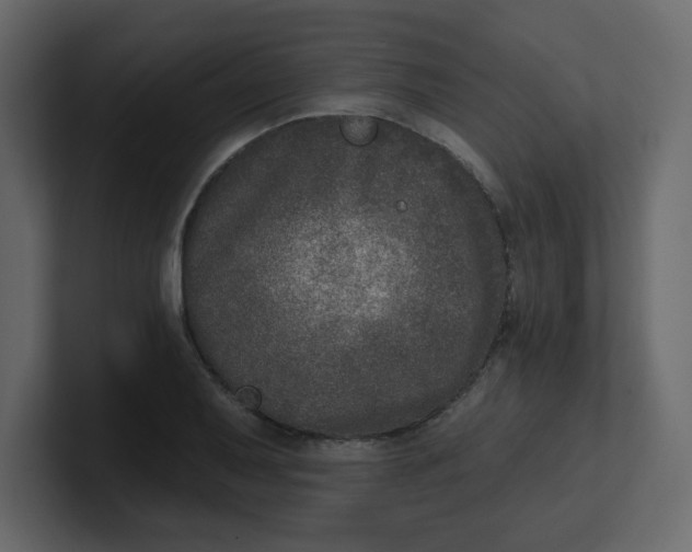 X0000100911079200807151133