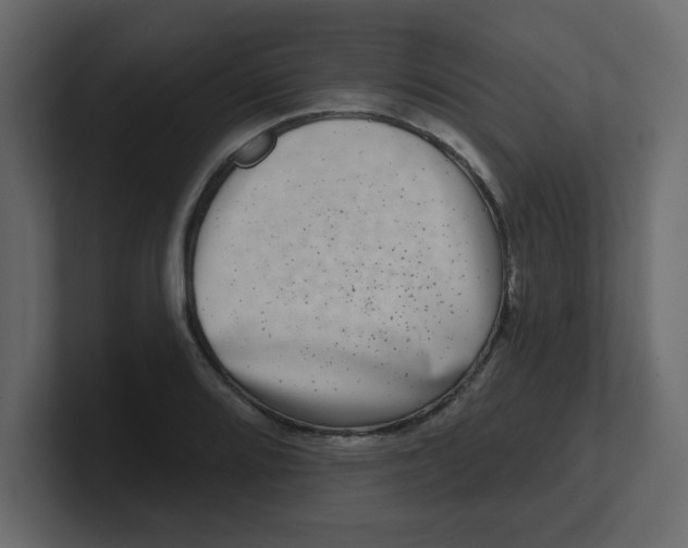 X0000100911080200807151133