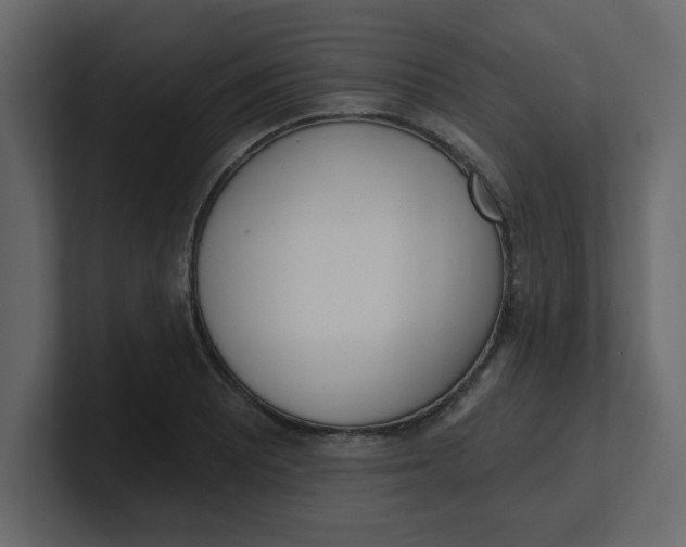 X0000100911081200807151133