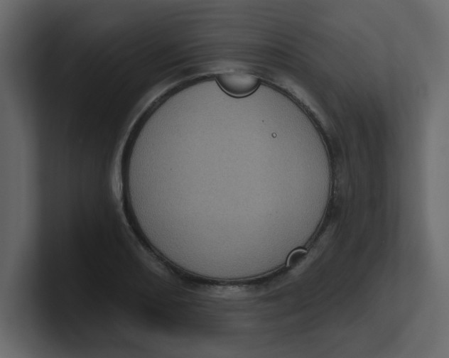 X0000100911082200807151133