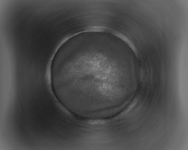 X0000100911083200807151133