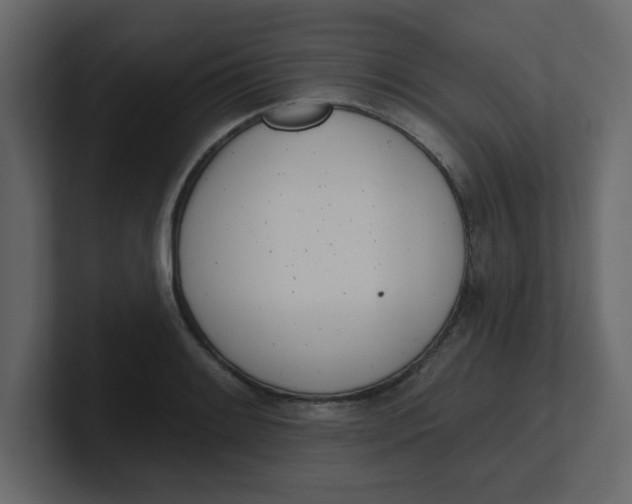 X0000100911084200807151133