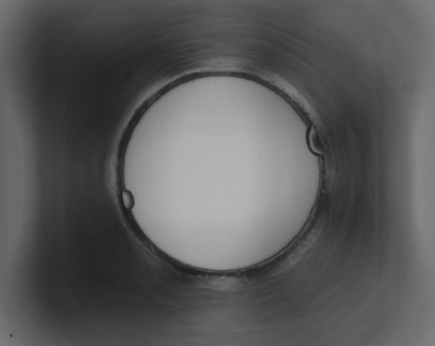 X0000100911085200807151133