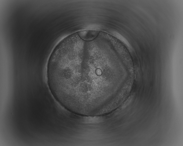 X0000100911087200807151133