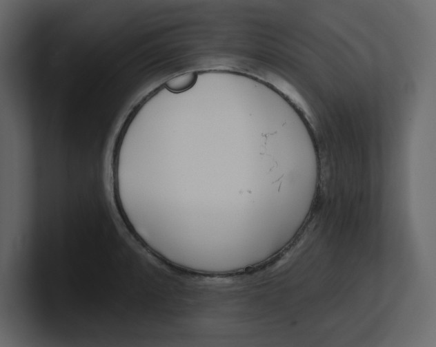 X0000100911088200807151133