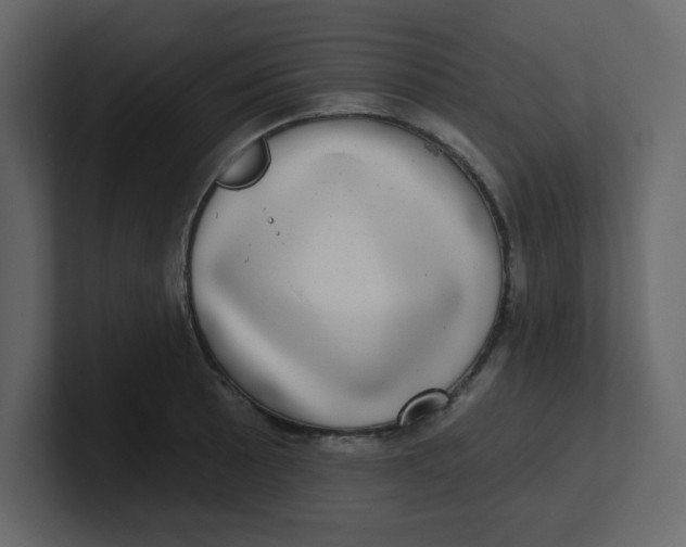 X0000100911089200807151133